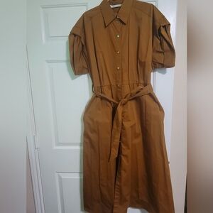 Zara Brown Midi Shirt Dress